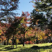 หมู่บ้านโมมิจิ