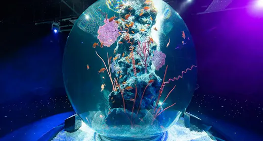 【AQUARIUM × ART】劇場型アクアリウム「atoa」入場券付きプラン<素泊まり>