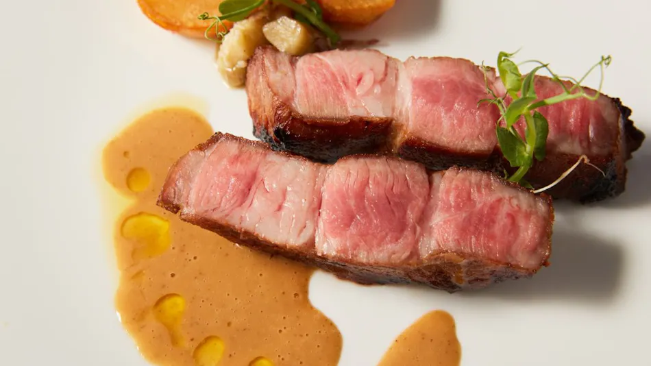 Rembrandt Premium Fuji Gotemba
