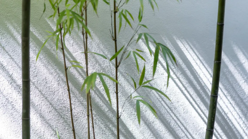 THE JUNEI HOTEL Kyoto