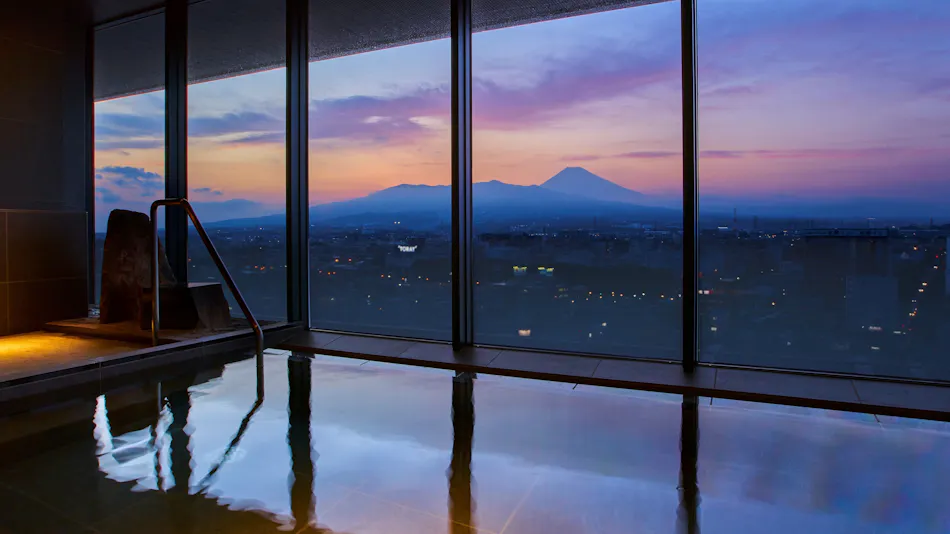 Fuji San Mishima Tokyu Hotel