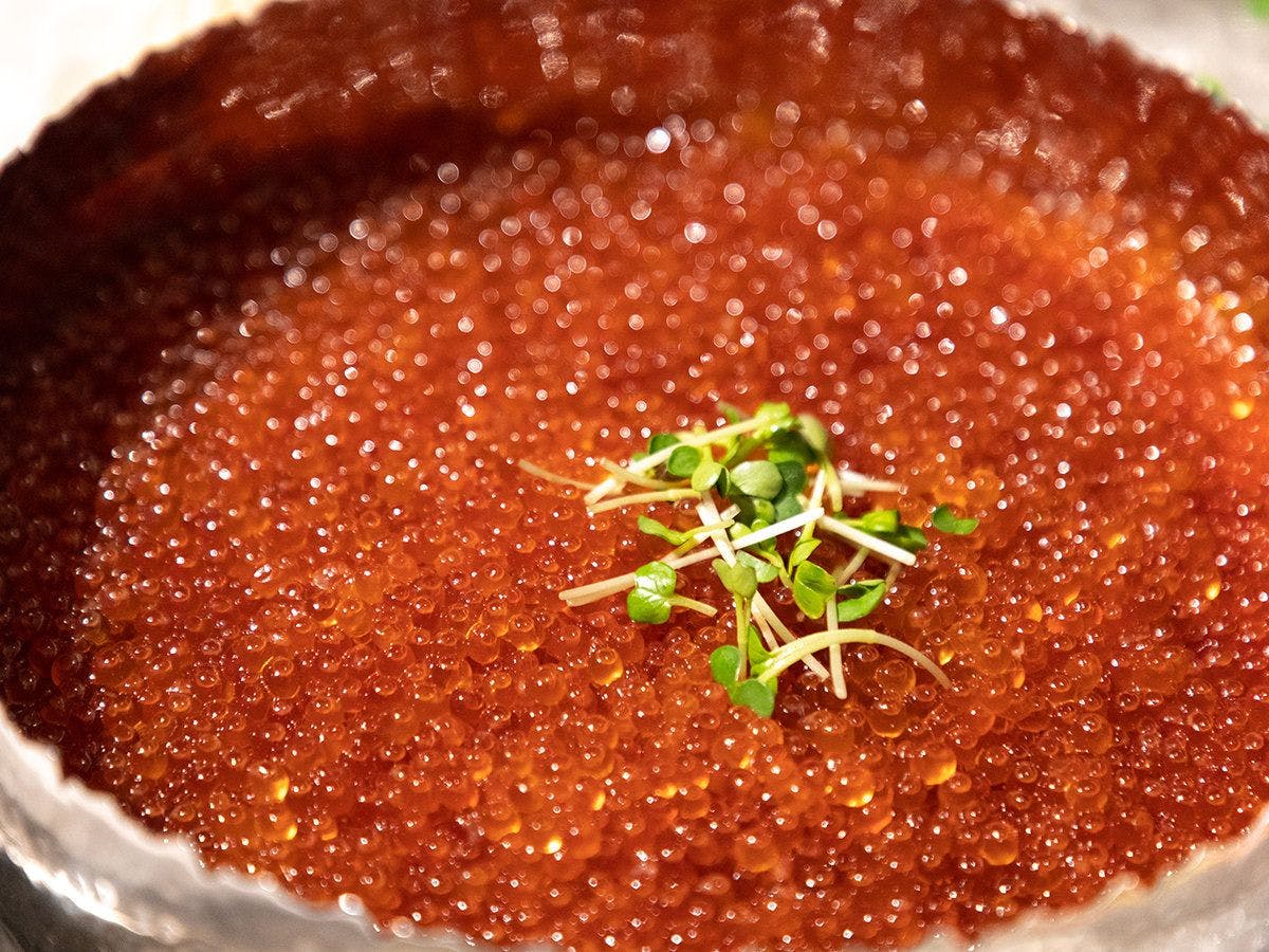 Solaria Nishitetsu Hotel Sapporo