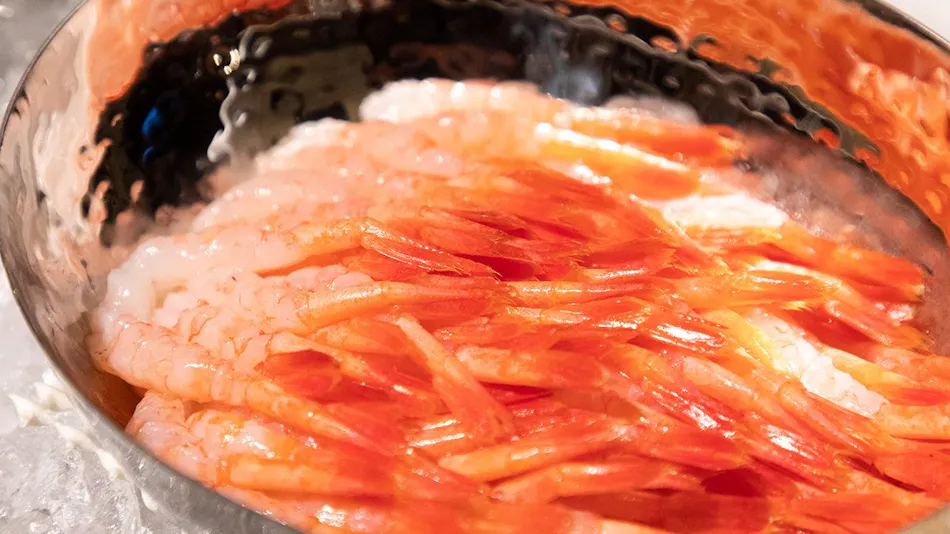 Solaria Nishitetsu Hotel Sapporo