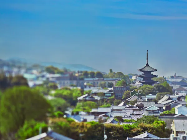【45日前までの早期割引】早期予約でお得!スタンダード素泊まりプラン(返金不可)