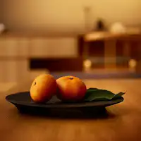 江之浦無農薬みかん