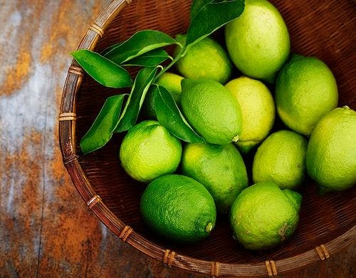 江之浦無農薬レモン