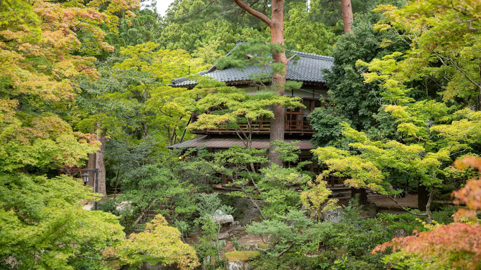 A Tranquil Forest Retreat with Historic Cultural Property Villas