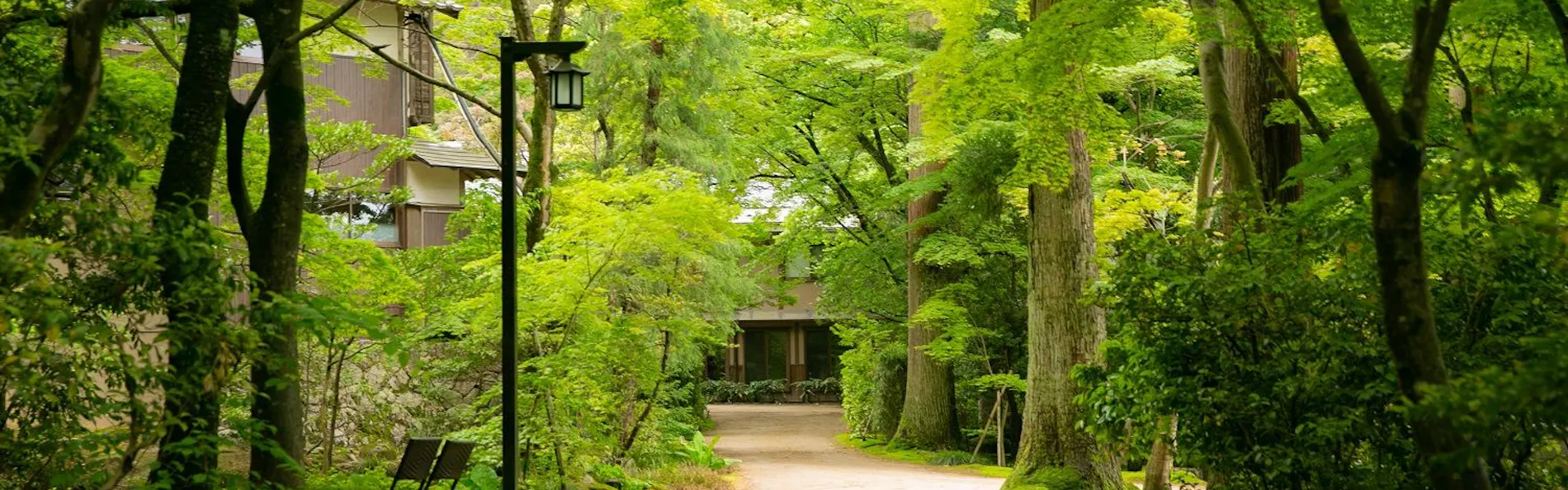 静かな森と文化財離れの宿 環翠楼