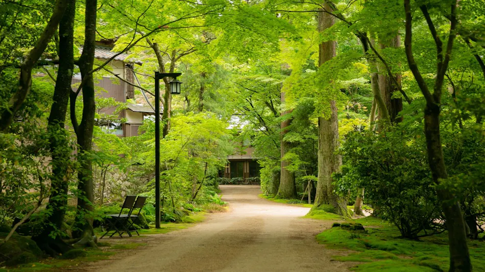 A Tranquil Forest Retreat with Historic Cultural Property Villas