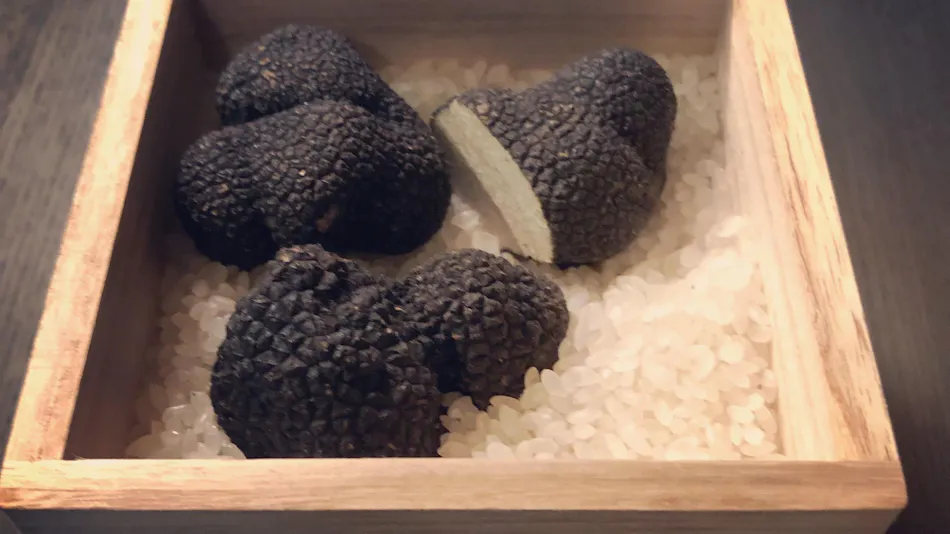 Kamakura COCON
