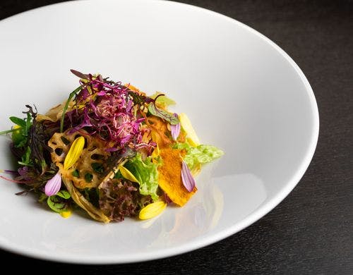 Restaurant cocon dinner