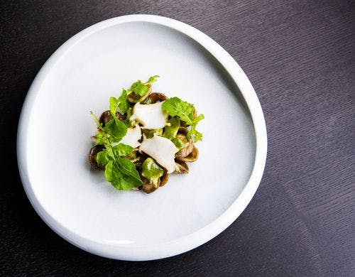 Restaurant cocon dinner