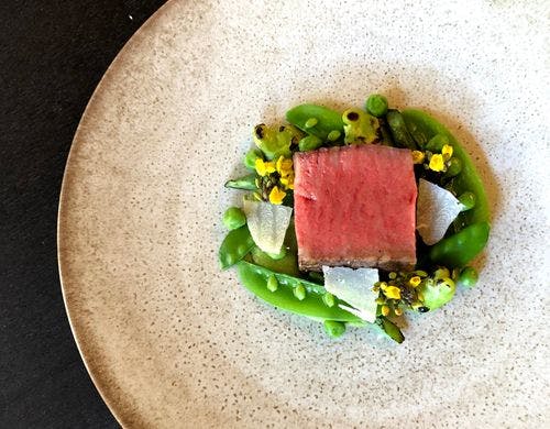 Kamakura cocon dinner