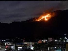東山　四季花木