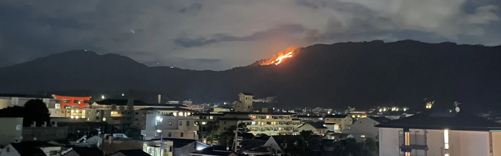 東山 四季花木