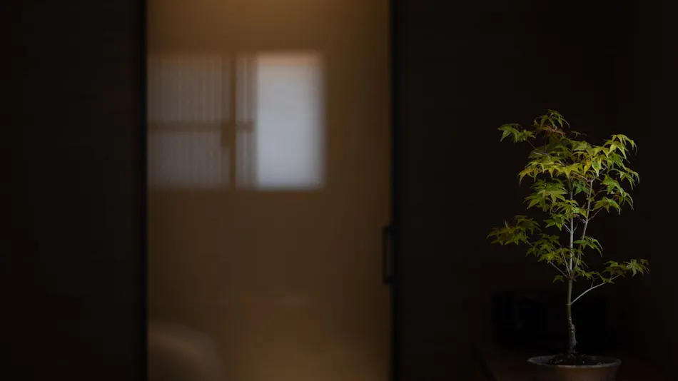 Higashiyama Shikikaboku