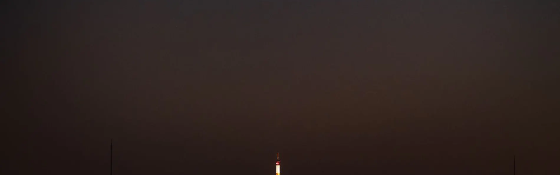 東山 四季花木
