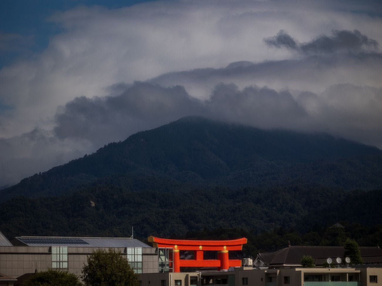 東山　四季花木
