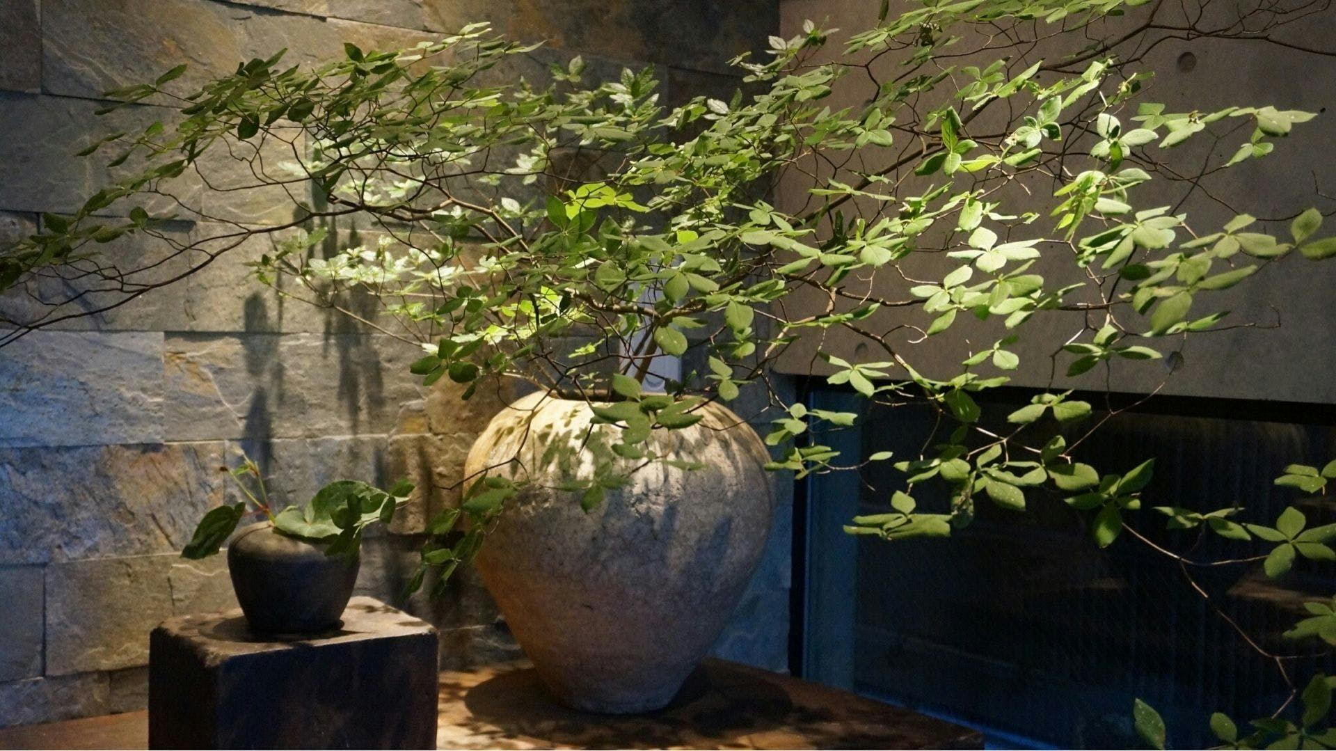 東山　四季花木