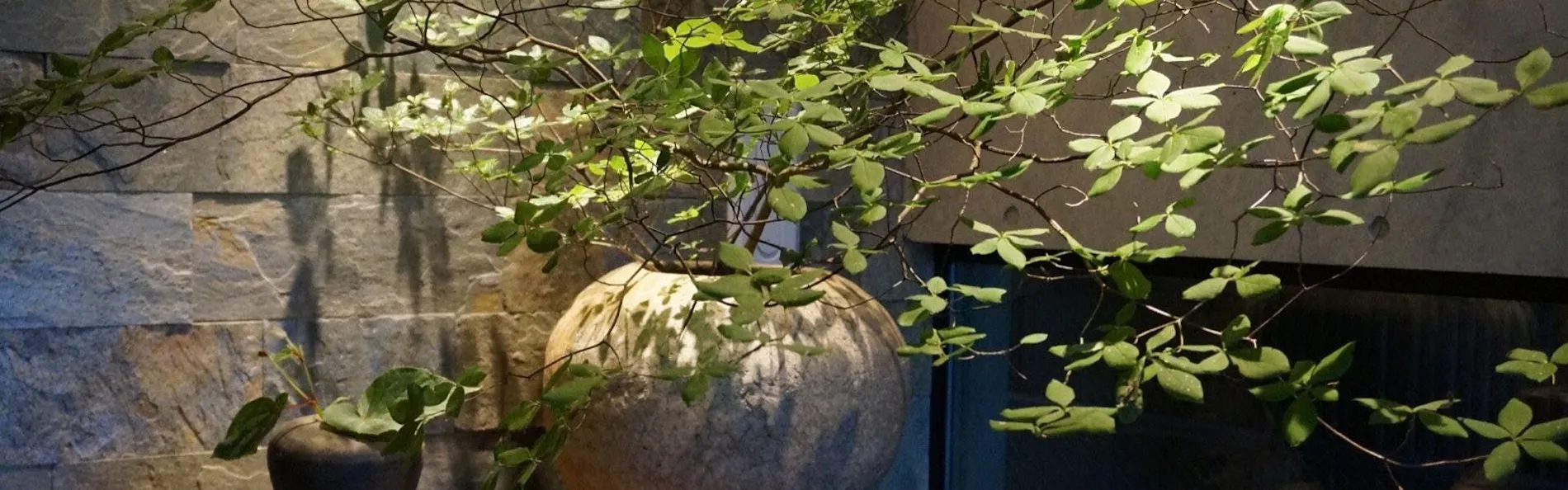 東山 四季花木