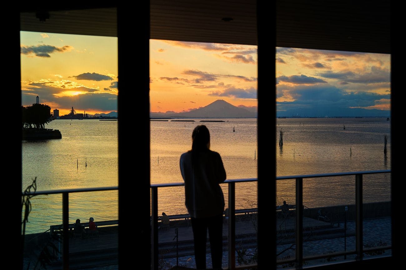 客室からの眺望