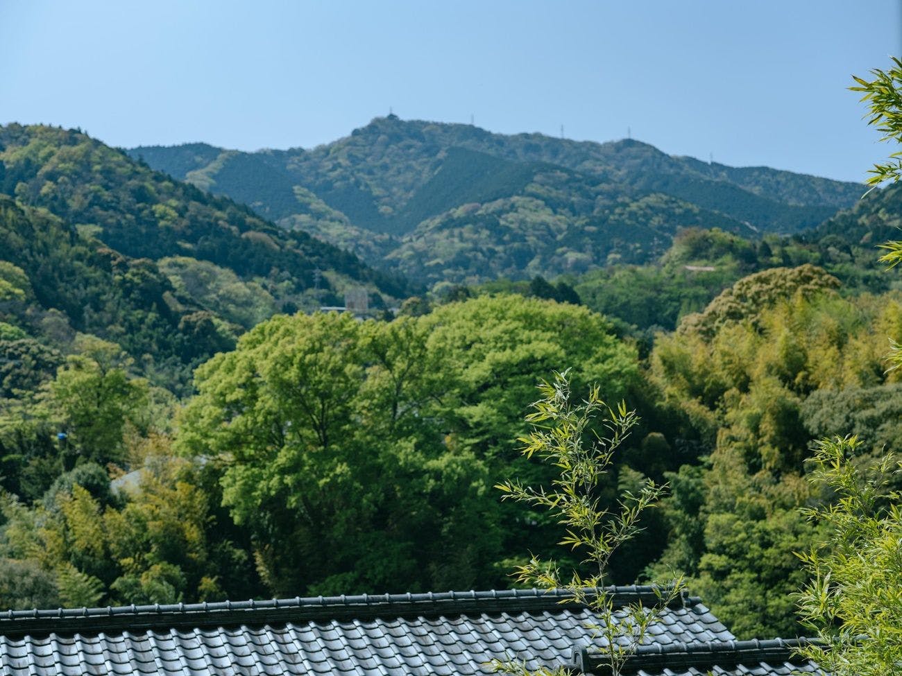 巛-sen-湯河原