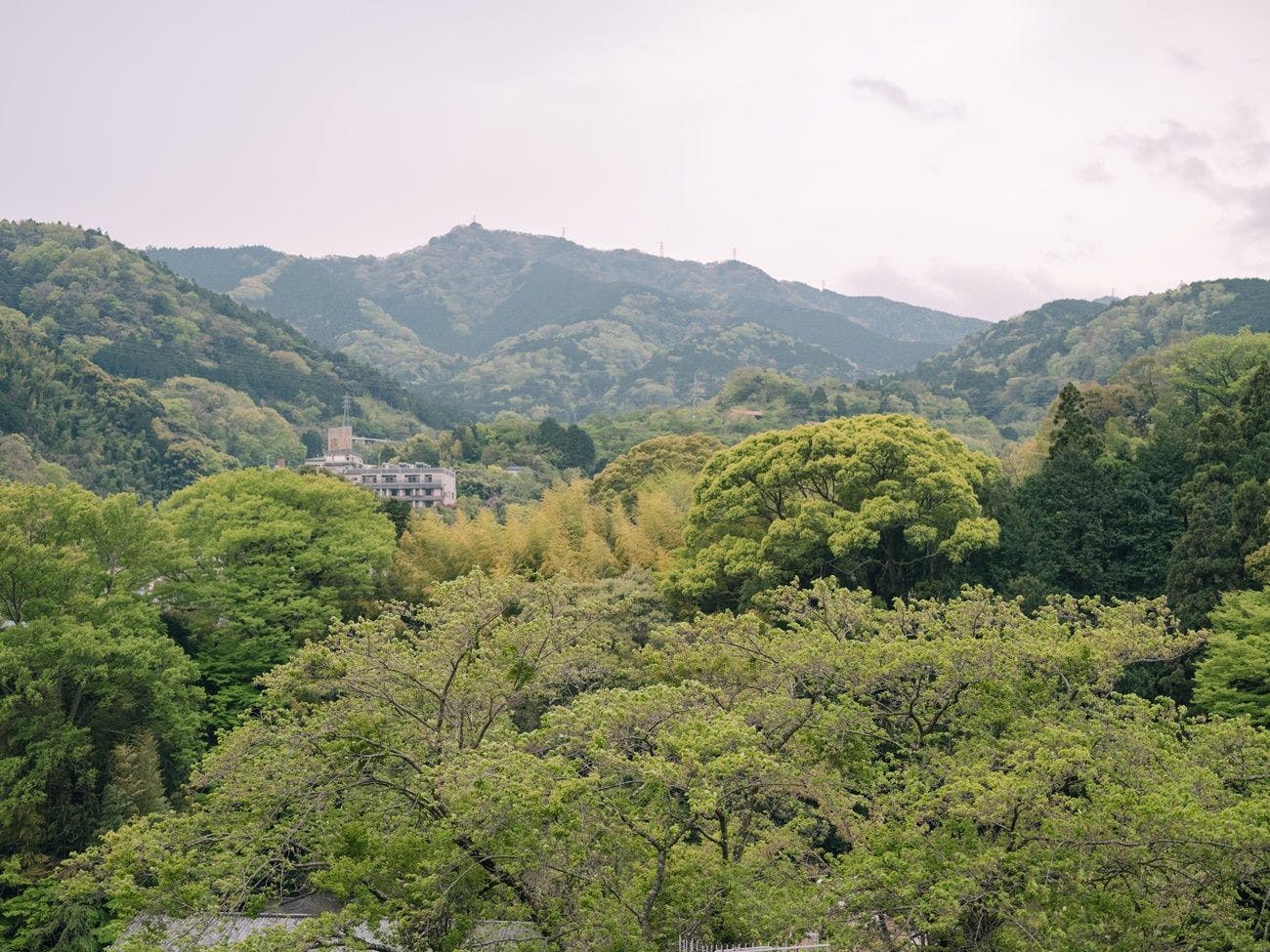 巛-sen-湯河原