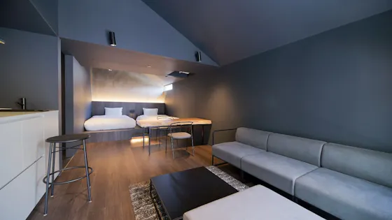 附溫泉浴的黑色套房,48平方米。