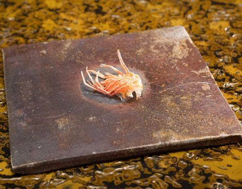 目の前で一つ一つ創り上げる天風良