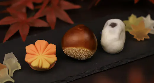 【9/15~11/14限定】串本の秋を味わう|老舗「儀平」の秋菓子とみかん緑茶付きプラン