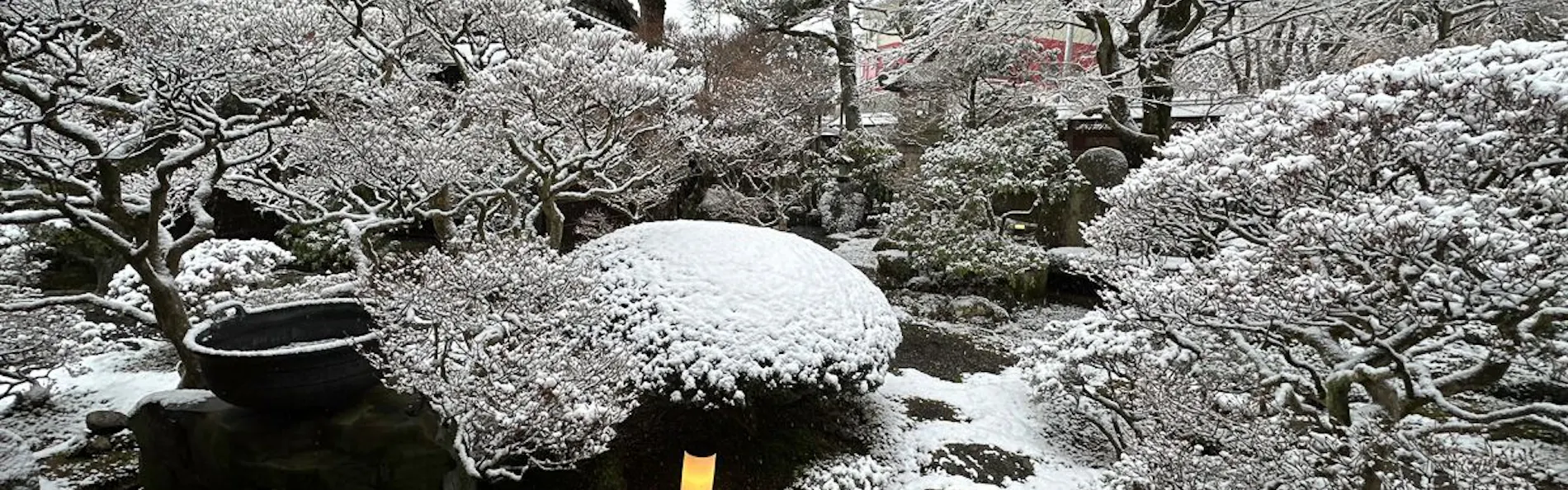 蛙~KAWAZU~