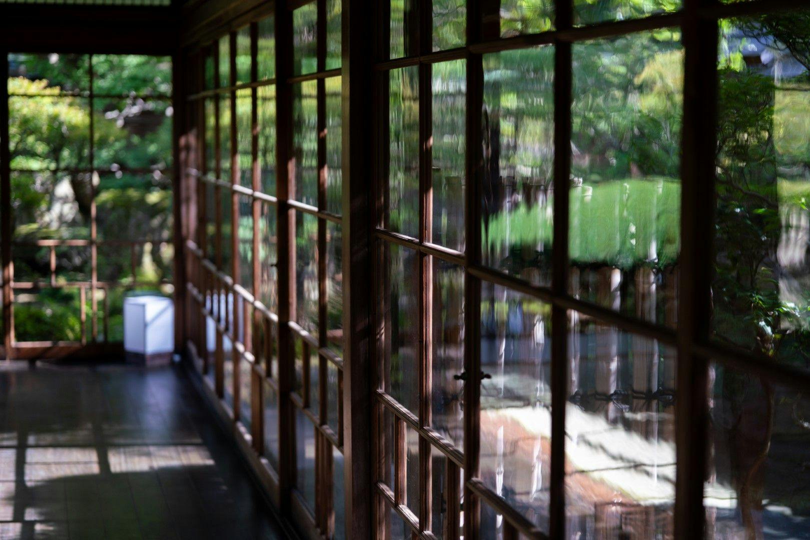 蛙～KAWAZU～