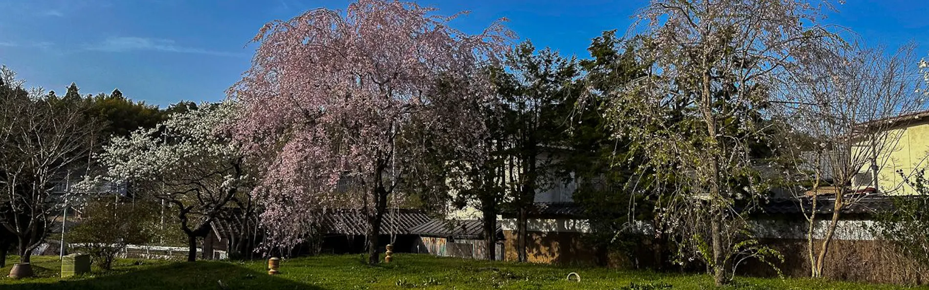蛙~KAWAZU~