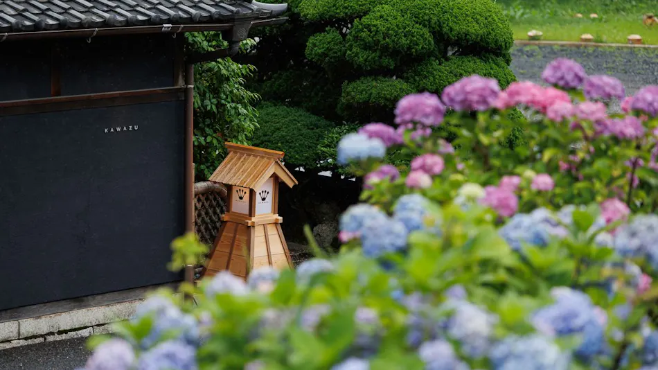 Frog ~KAWAZU~