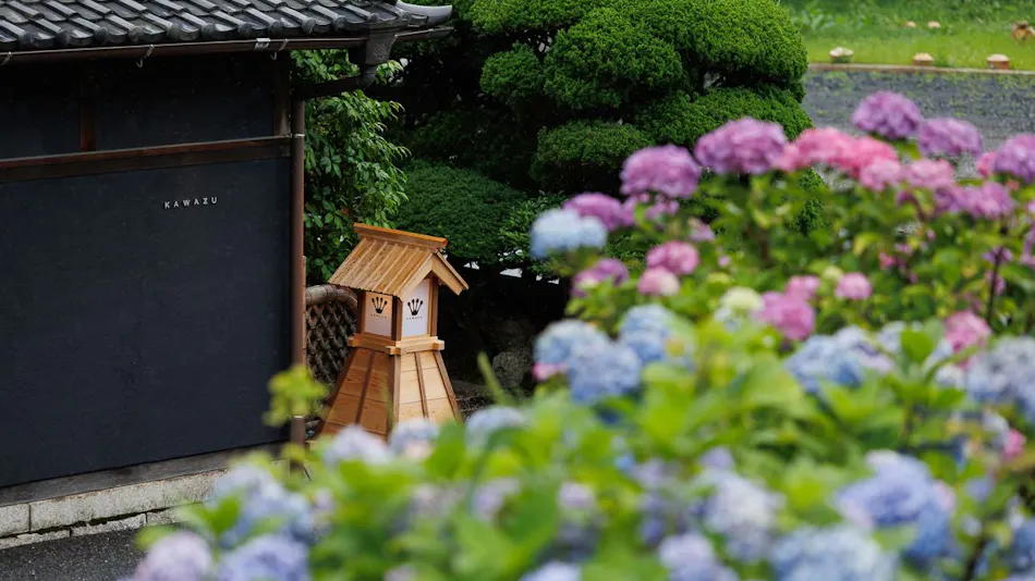 Frog ~KAWAZU~
