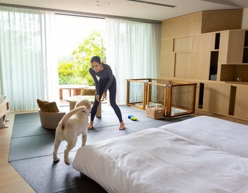 ドッグフレンドリー和モダン