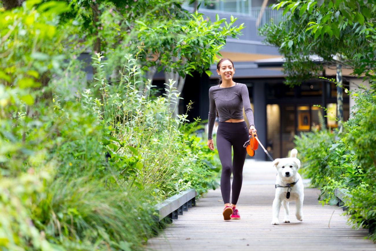 ドッグフレンドリーホテル