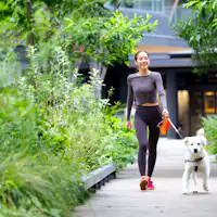 โรงแรมที่เป็นมิตรกับสุนัข