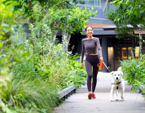 ドッグフレンドリーホテル