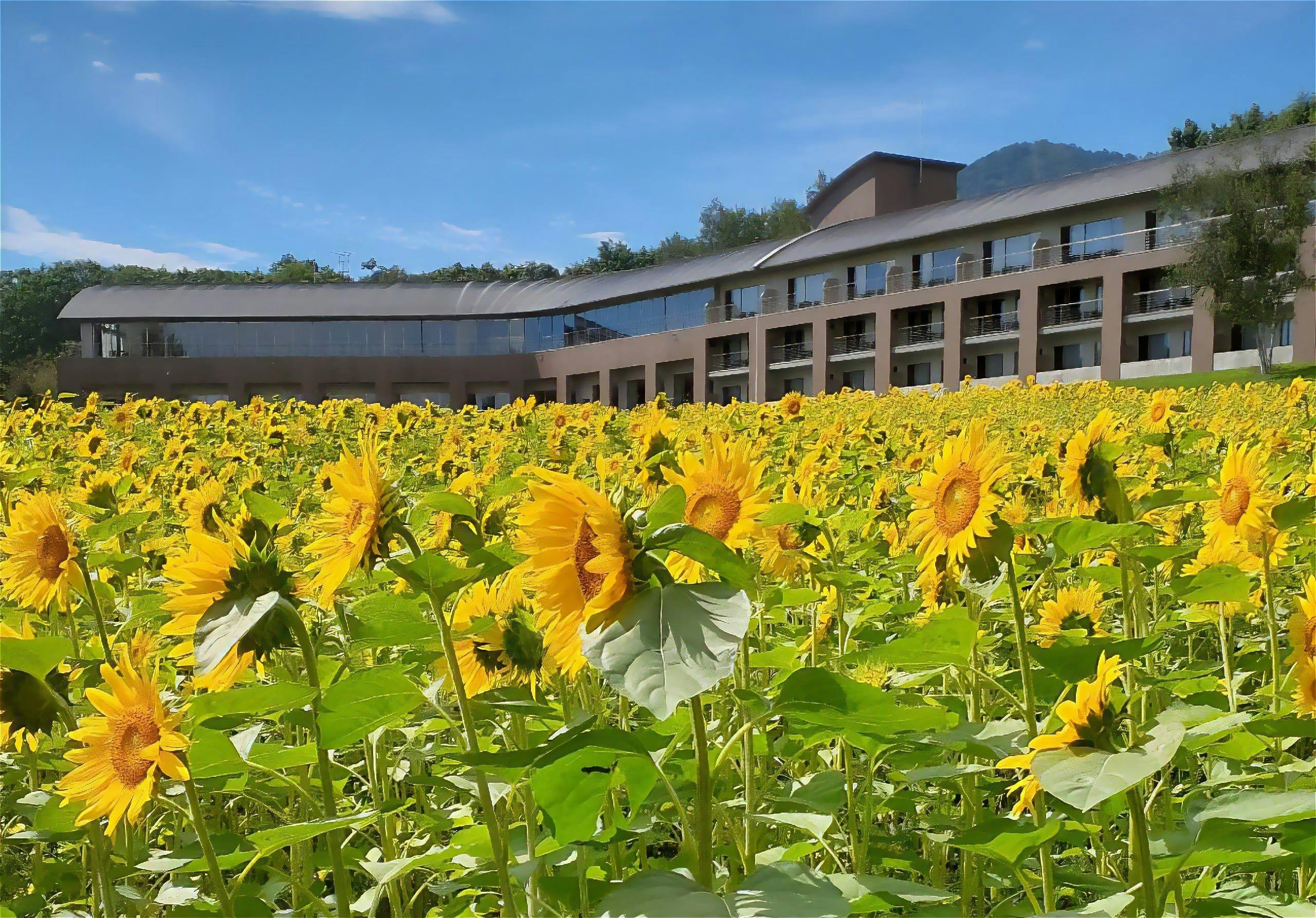 富良野ホテル FURANO HOTEL