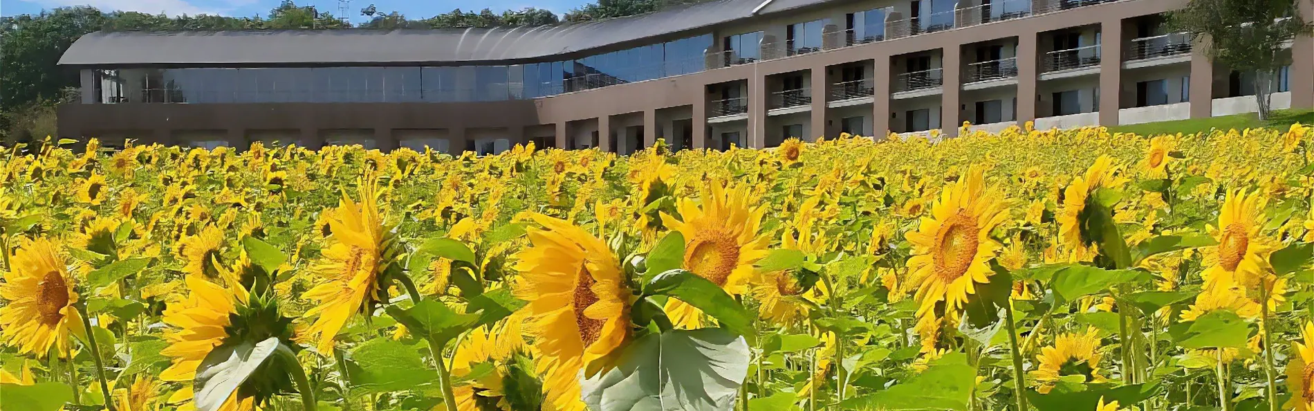 富良野ホテル FURANO HOTEL