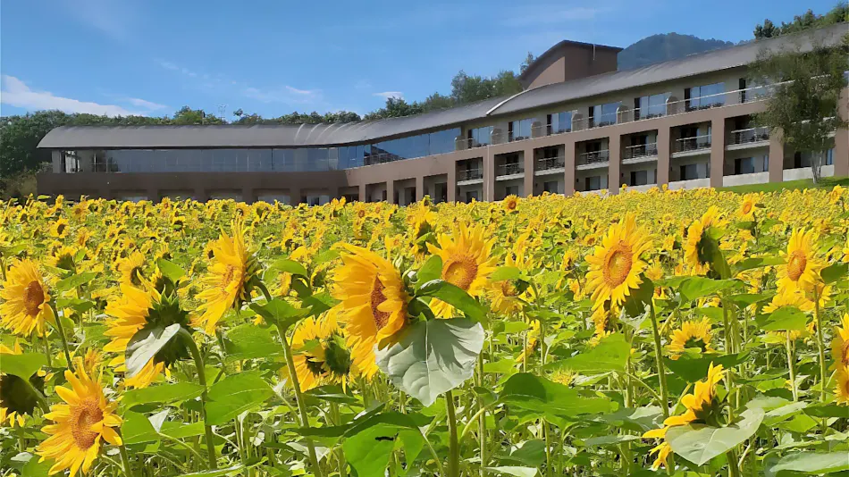 FURANO HOTEL