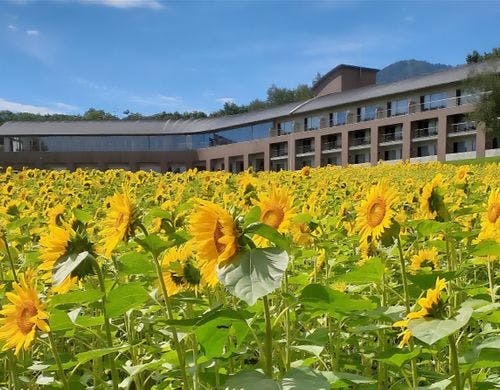 約3万5000坪の広大な森の中。