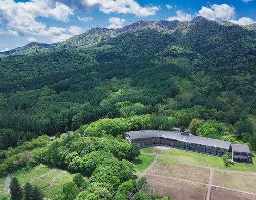 静けさと緑に包まれた富良野の森の中