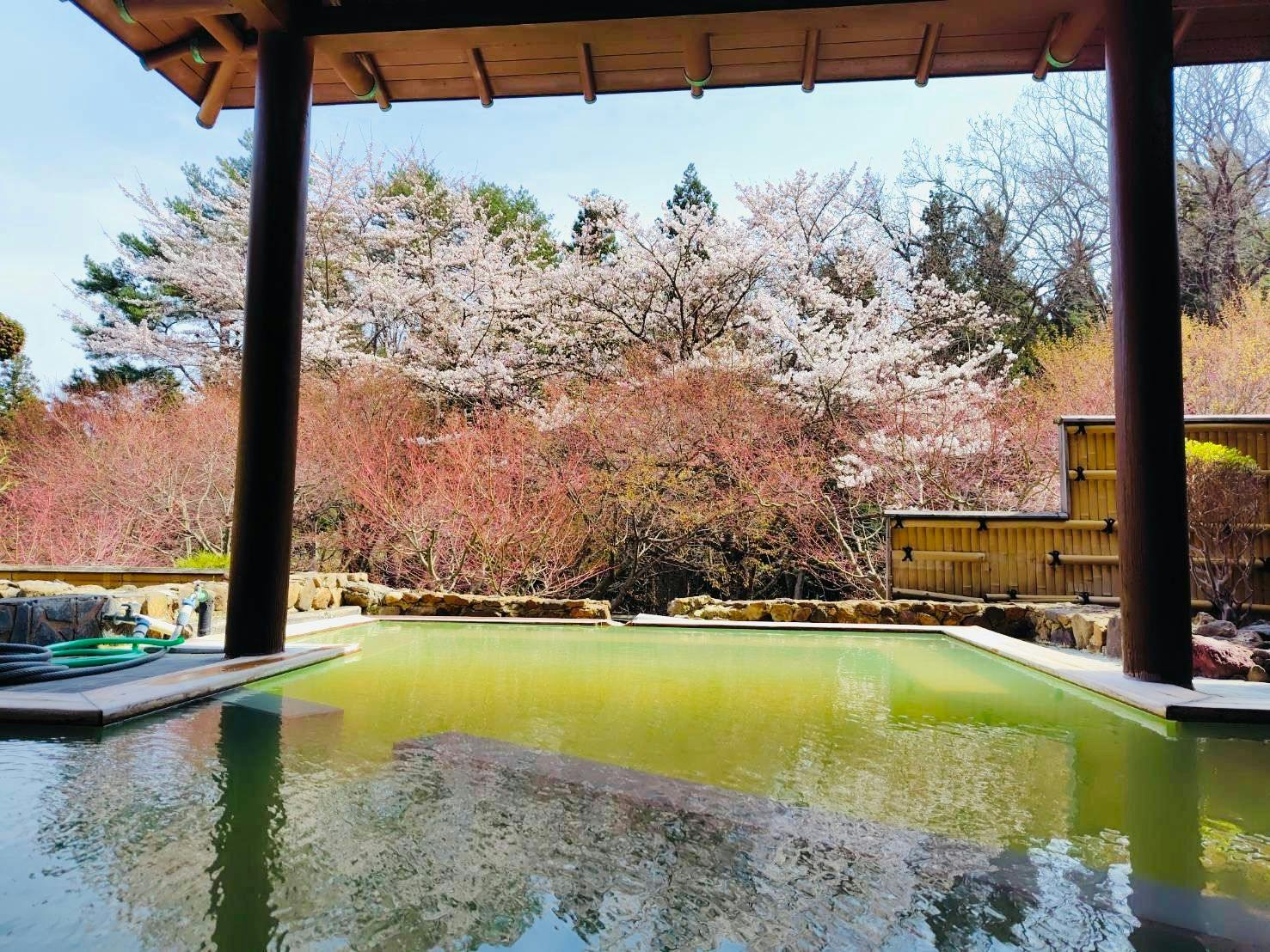 花見風呂