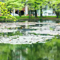 赤れんが庁舎 池