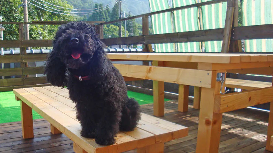 Sakihana Onsen Bokukaku