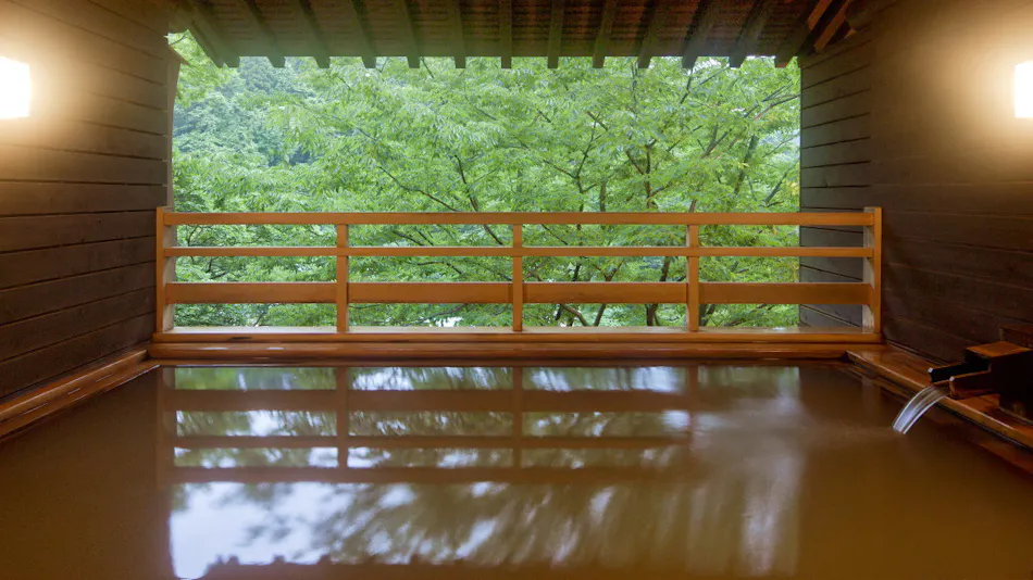 Kishigon Ryokan ~ Adjacent to Stone Steps Street, Rare Hot Spring "Golden Water" Inn ~