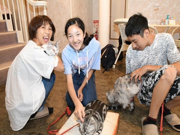 猫のいるお宿　プチホテル・フロマージュ
