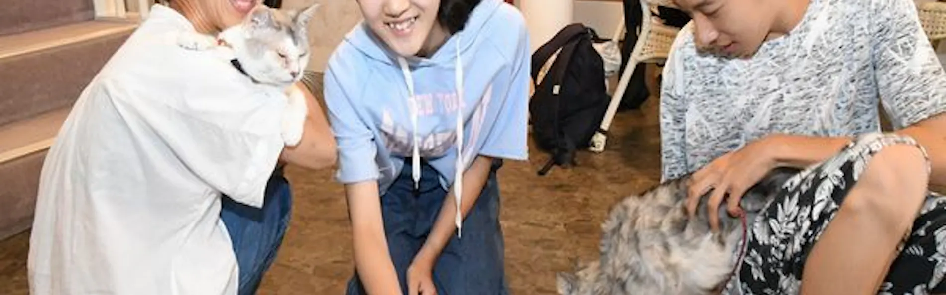 猫のいるお宿 プチホテル・フロマージュ